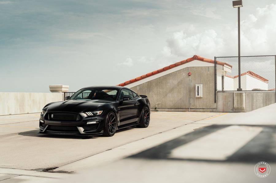  Shelby GT350 on Vossen Wheels (M-X2) 2019 года  (фото 2 из 17)
